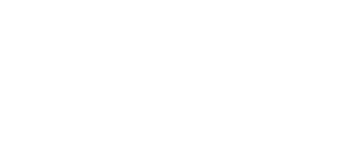 Medentika Logosu